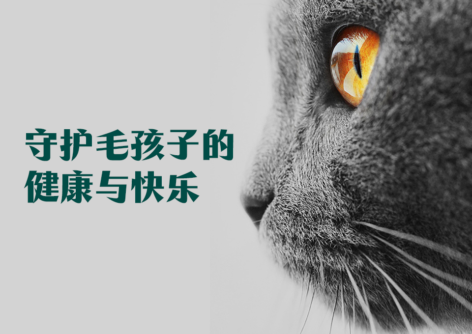 普迈思