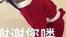 案例分享_11