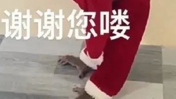 视频06