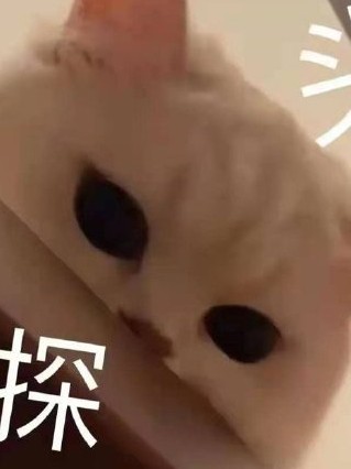 科研04